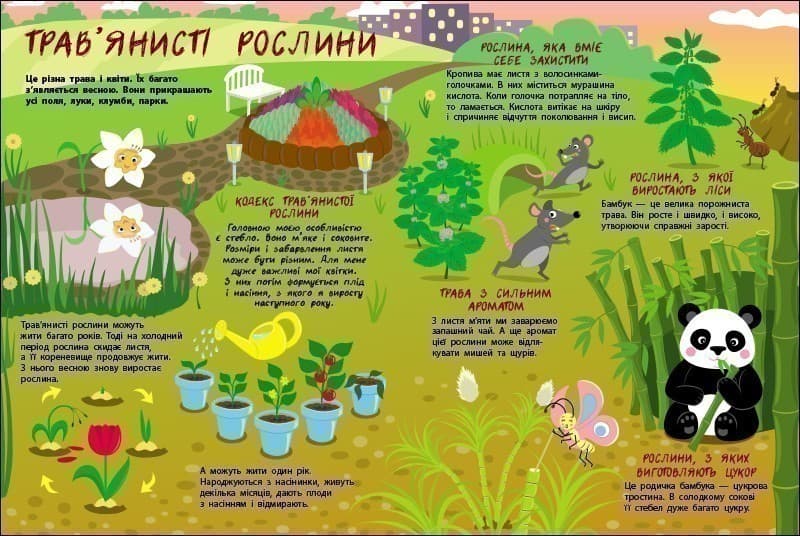 Таємне життя рослин, фото - 3