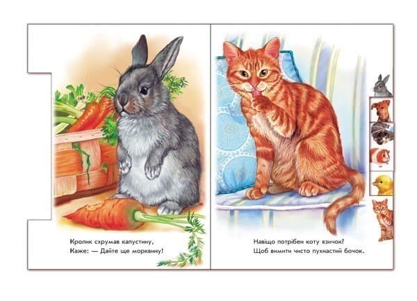 У домі, фото - 3