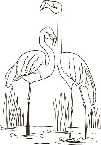 Тварини (розмальовка), фото - 3