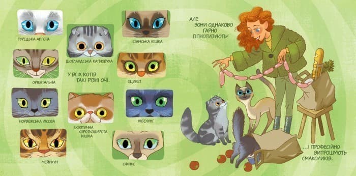 Від вушок до хвостів. Про котів, фото - 2