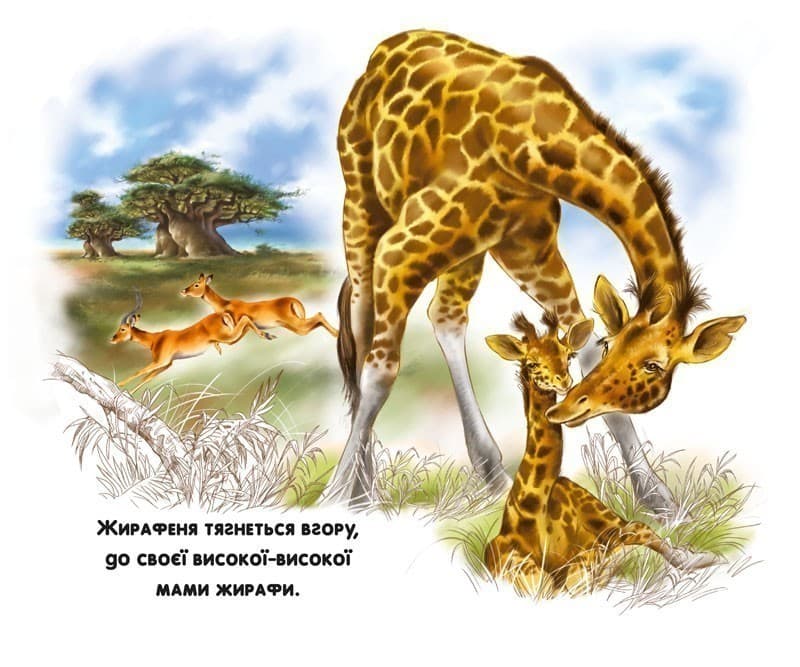 Мами і малята. Дикі тварини, фото - 3