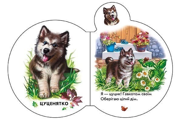 У селі, фото - 2