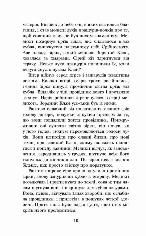 Коти - вояки. Здіймається буря (м&#39;яка обкладинка), фото - 3