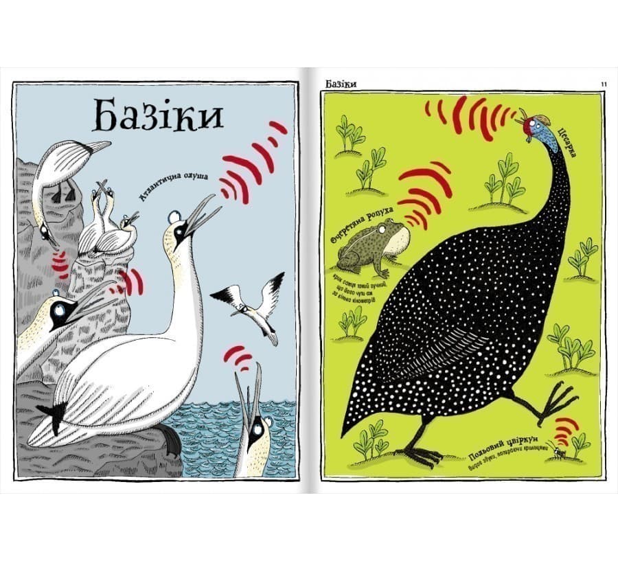 Тваринопедія. Зібрання найдивовижніших створінь на землі, фото - 3