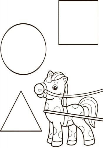 Форма, колір, фото - 2