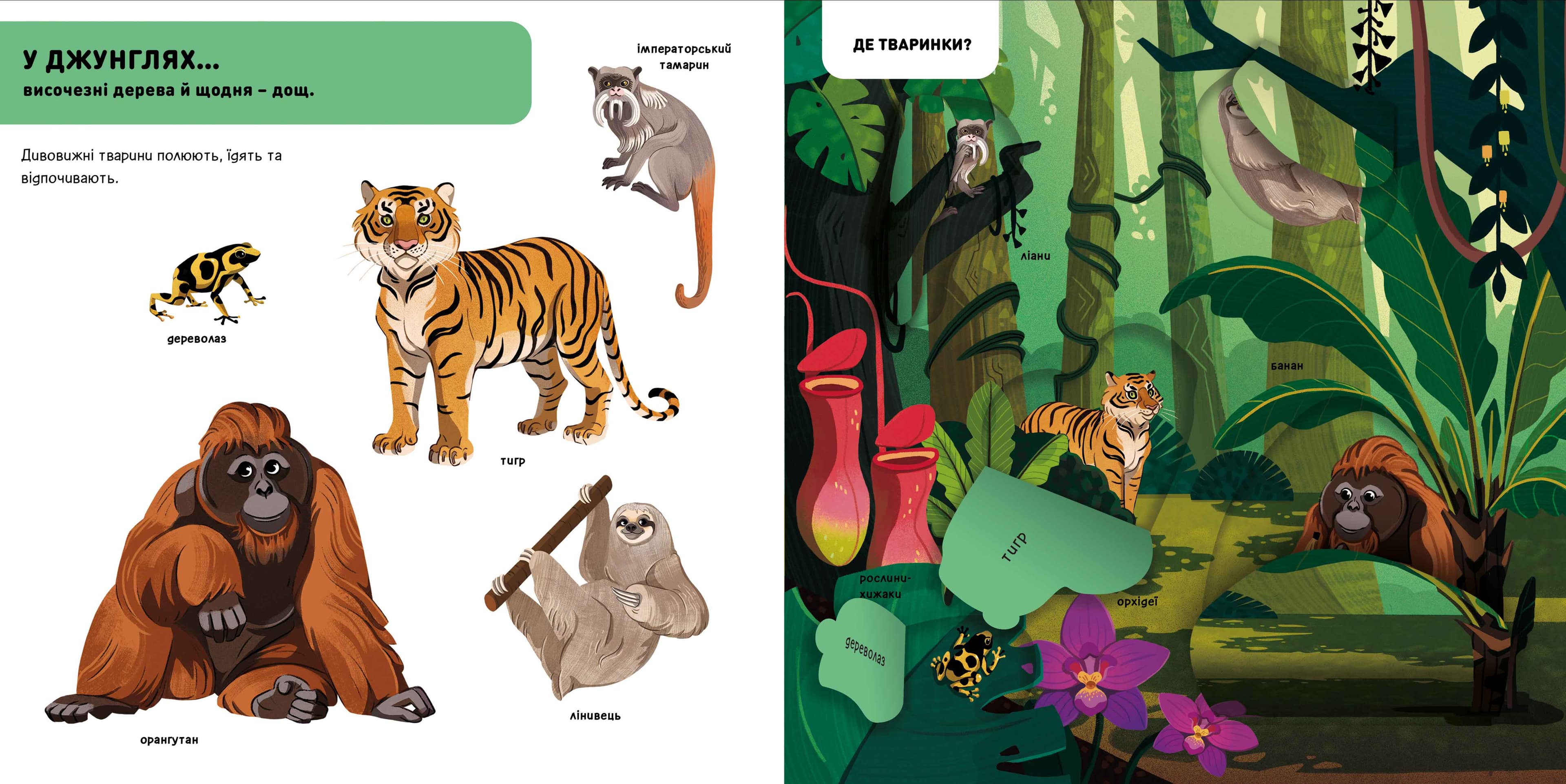 DOC Секрети. Тварини джунглів, фото - 3