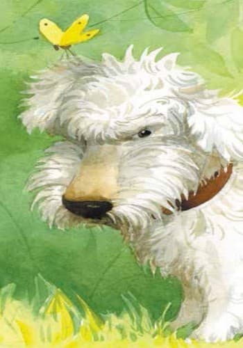 Пес-буркотун, фото - 2