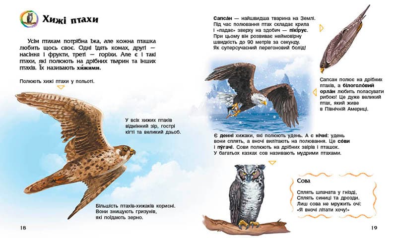 Птахи, фото - 3