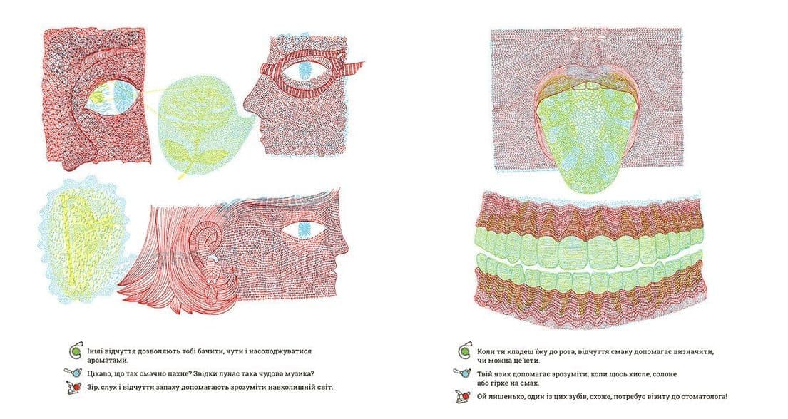 Що ховається у тілі?, фото - 2