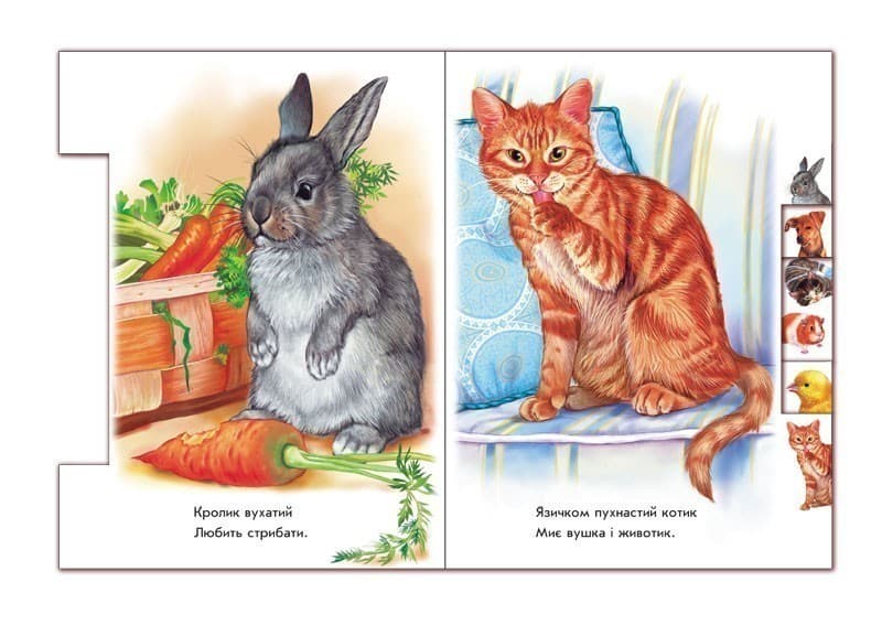 У домі, фото - 3