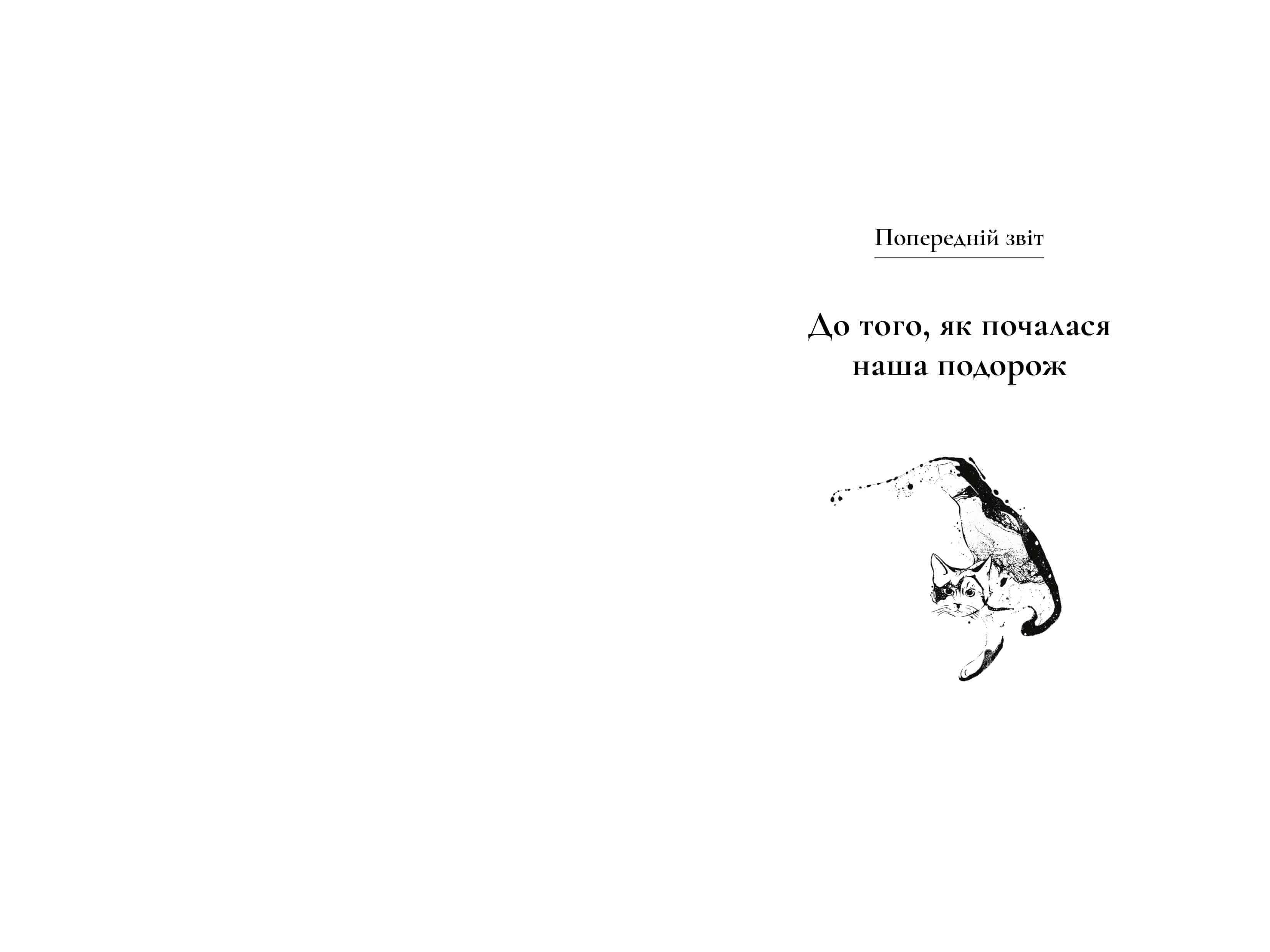 Щоденник мандрівного кота, фото - 3