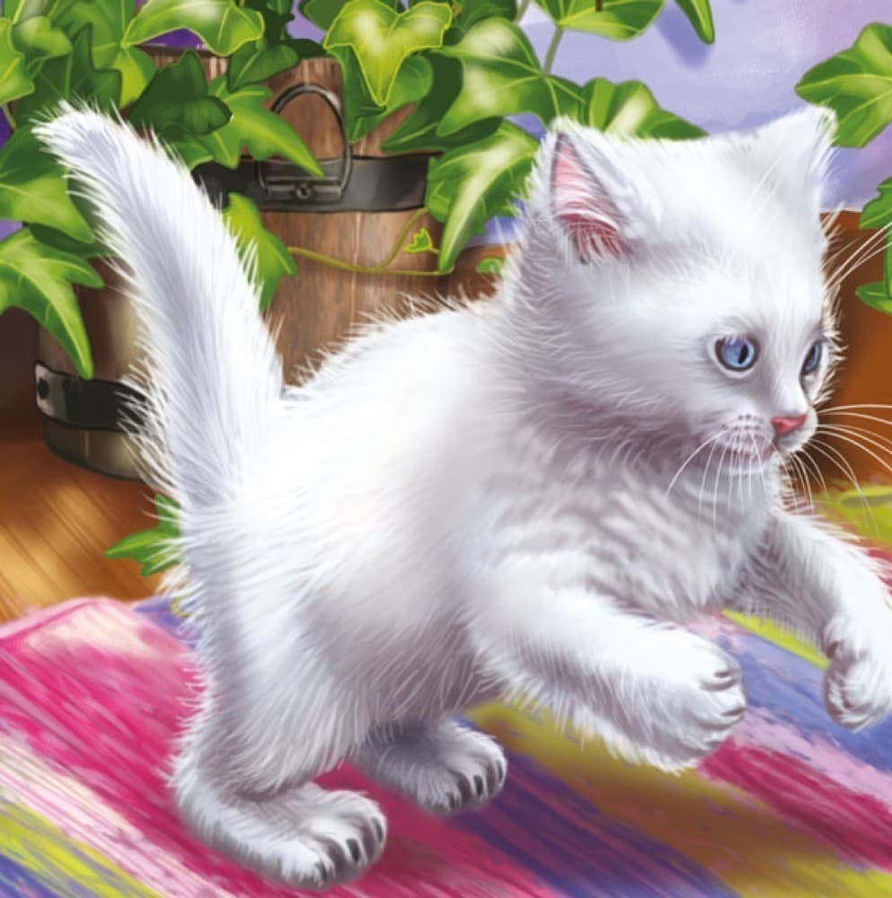 Кошеня, фото - 3