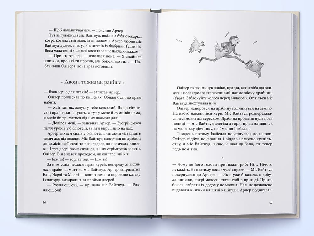 Погано спланована пригода, фото - 3