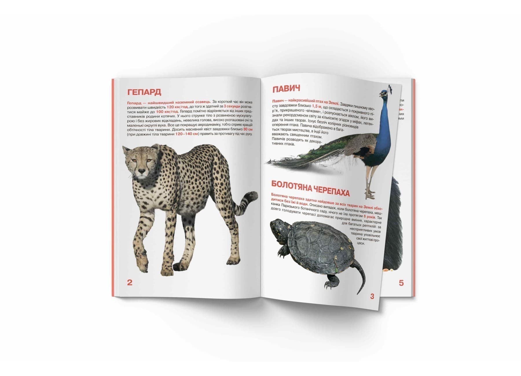 Велика книжка. Рекорди тваринного світу, фото - 1