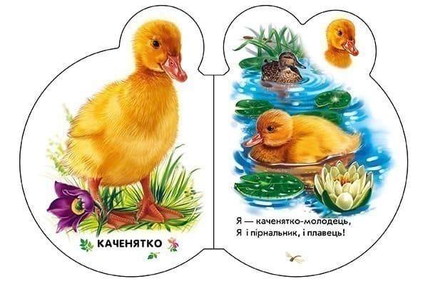 У селі, фото - 3