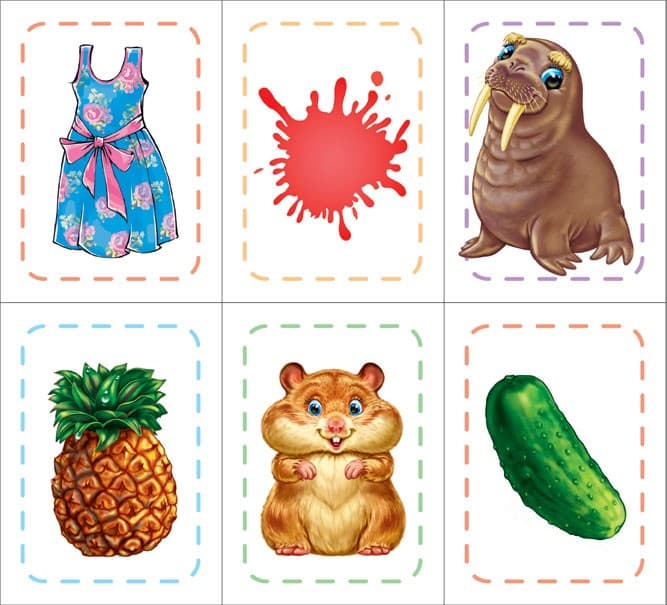 Пізнайко, фото - 3