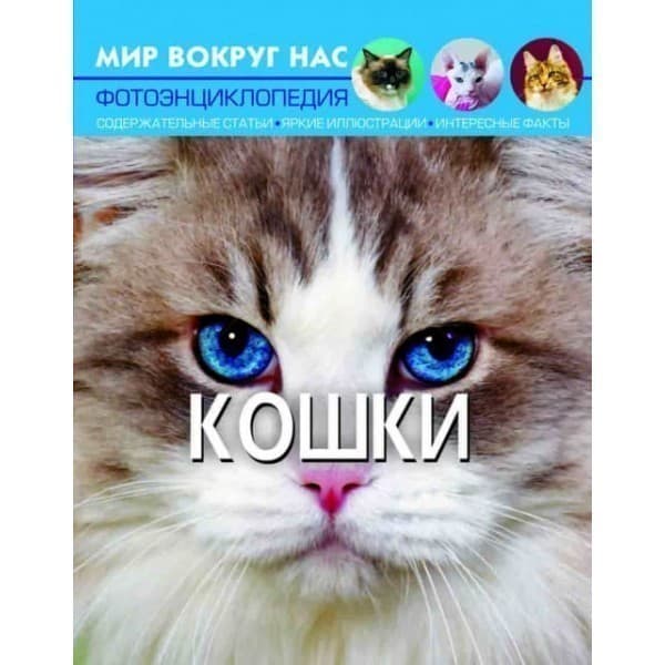 Мир вокруг нас. Кошки, фото - 1