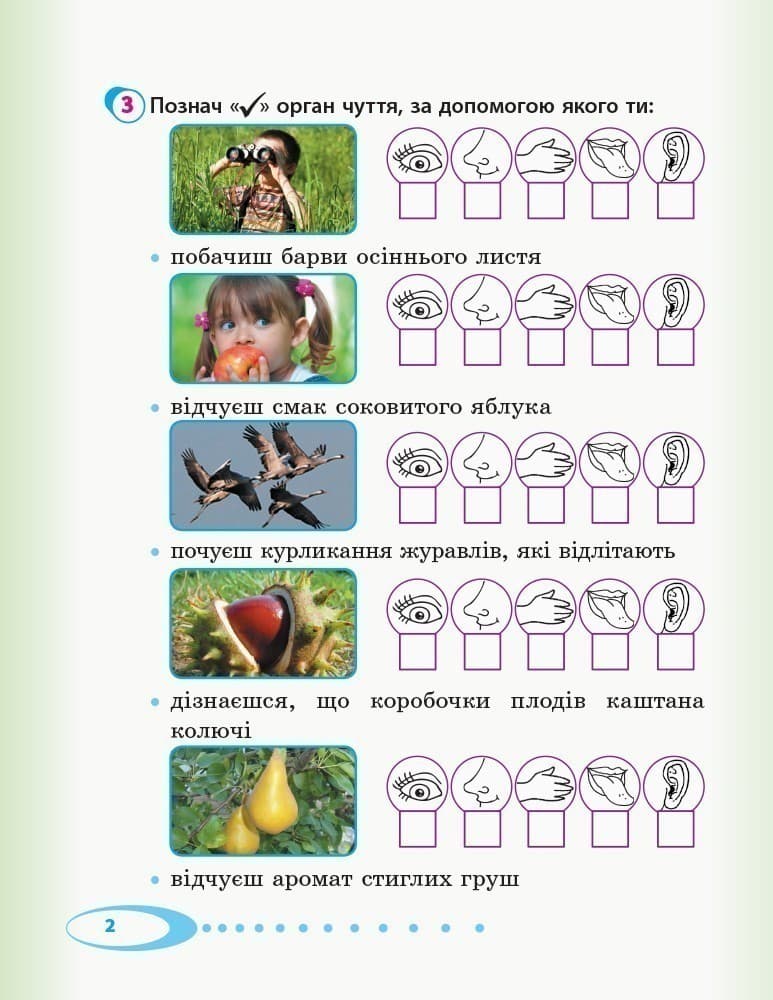 Я досліджую світ. 2 клас. Робочий зошит до підручника І. Андрусенко. ч. 1, фото - 3