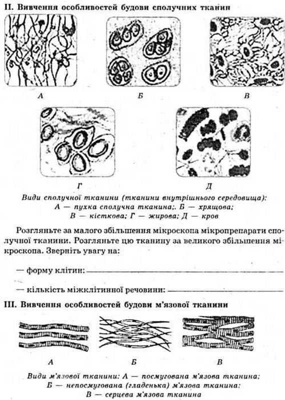 Біологія 8 кл (у) Зошит для лаб. та практ., проектів (оновл. прогр.), фото - 3