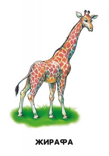 Мами й дитинчата, фото - 2