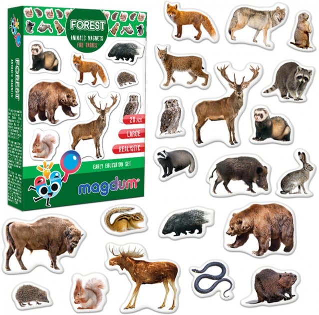 Набір магнітів &amp;quot;Лiсові мешканці фото&amp;quot; ML4031-29 EN, фото - 1