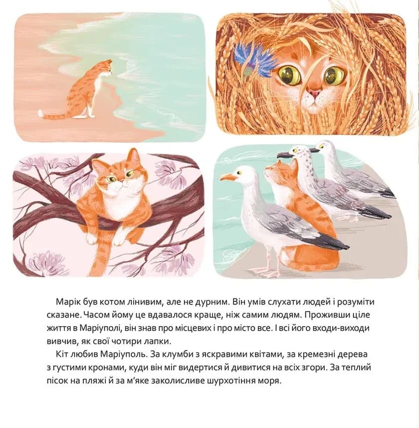 Кіт Марік і Азов, фото - 3