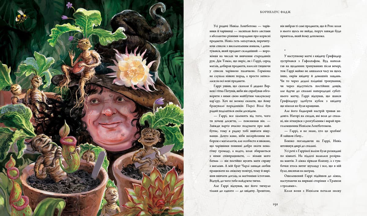 Гаррі Поттер і таємна кімната. Велике ілюстроване видання, фото - 3