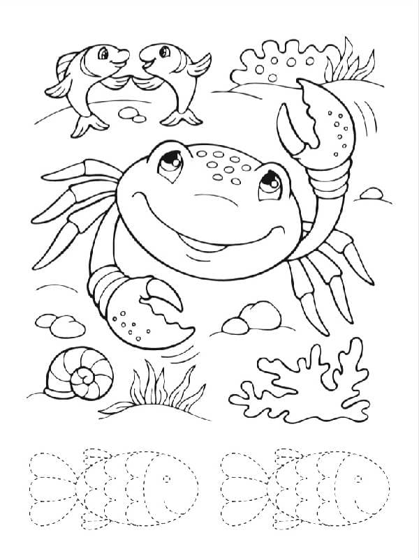 В гостях у черепашки, фото - 3