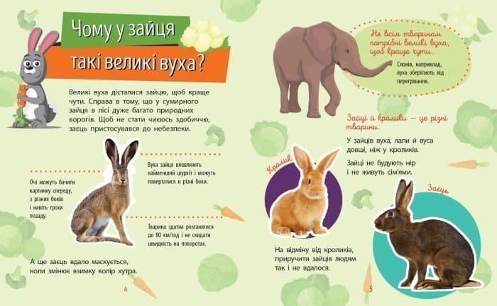 Чомусики : Тварини, фото - 2