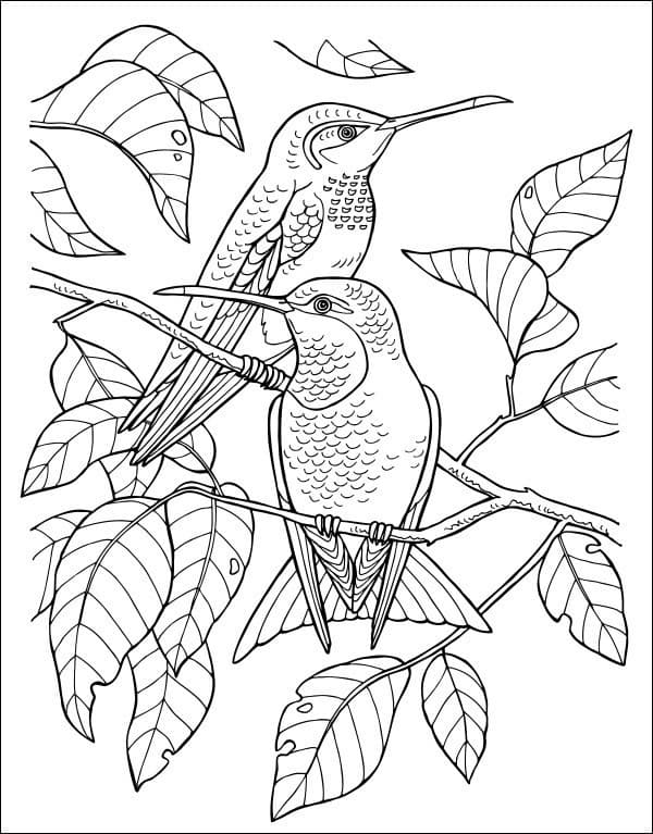 Дівчатка та квіти, фото - 3