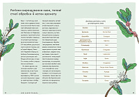 Нові кавові правила, фото - 3