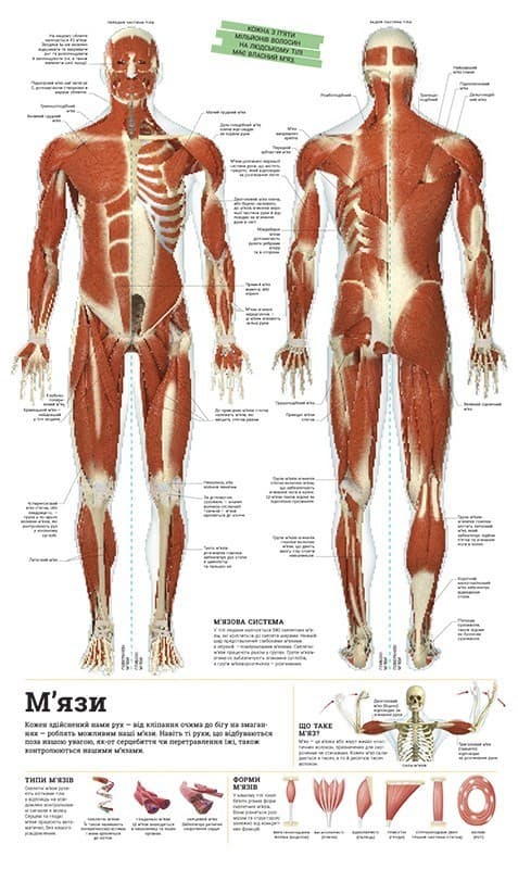 Дивипедія, фото - 3