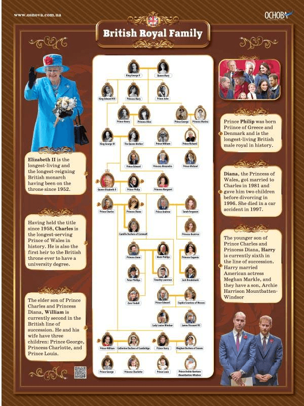 Англійська мова Комплект плакатів А2, 5-11 класи, фото - 3