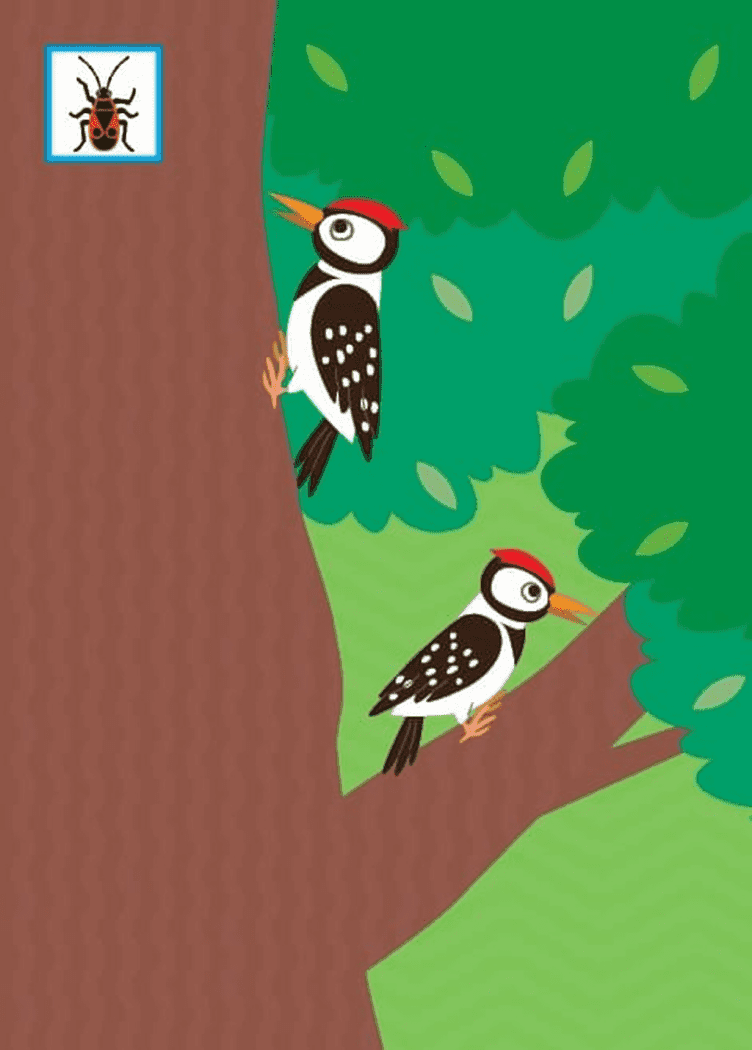 Наклей, малятко! Фир-фир! Хто живе в лісі?, фото - 2