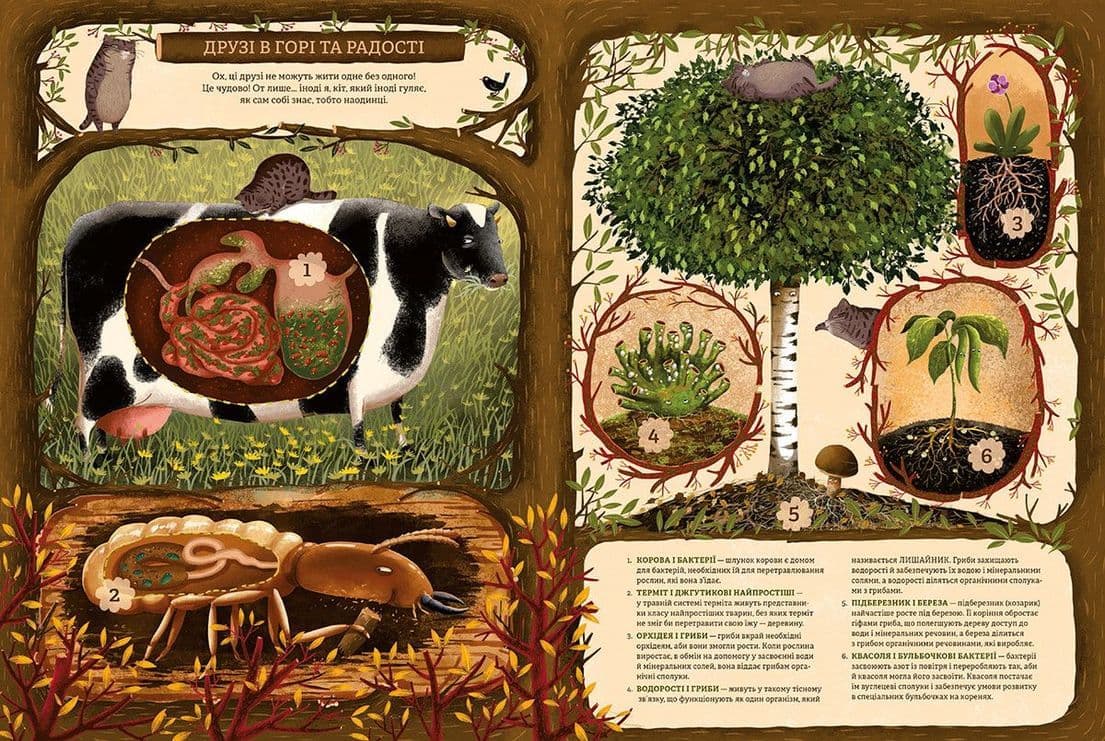 Незвичайна дружба у світі рослин і тварин, фото - 3