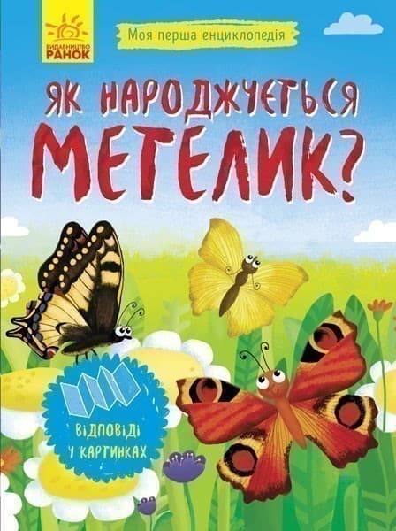 Як народжується метелик?, фото - 1