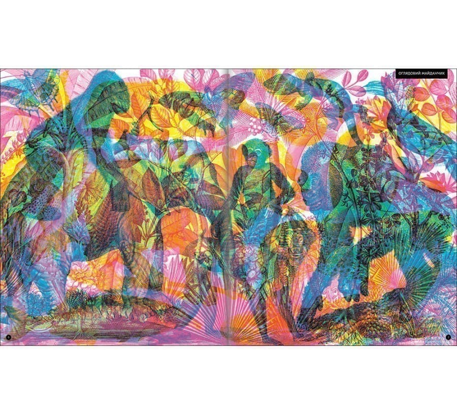 Приховані дива, фото - 2