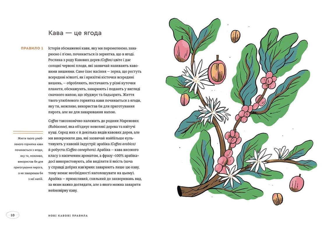 Нові кавові правила (з пошкодженням), фото - 3