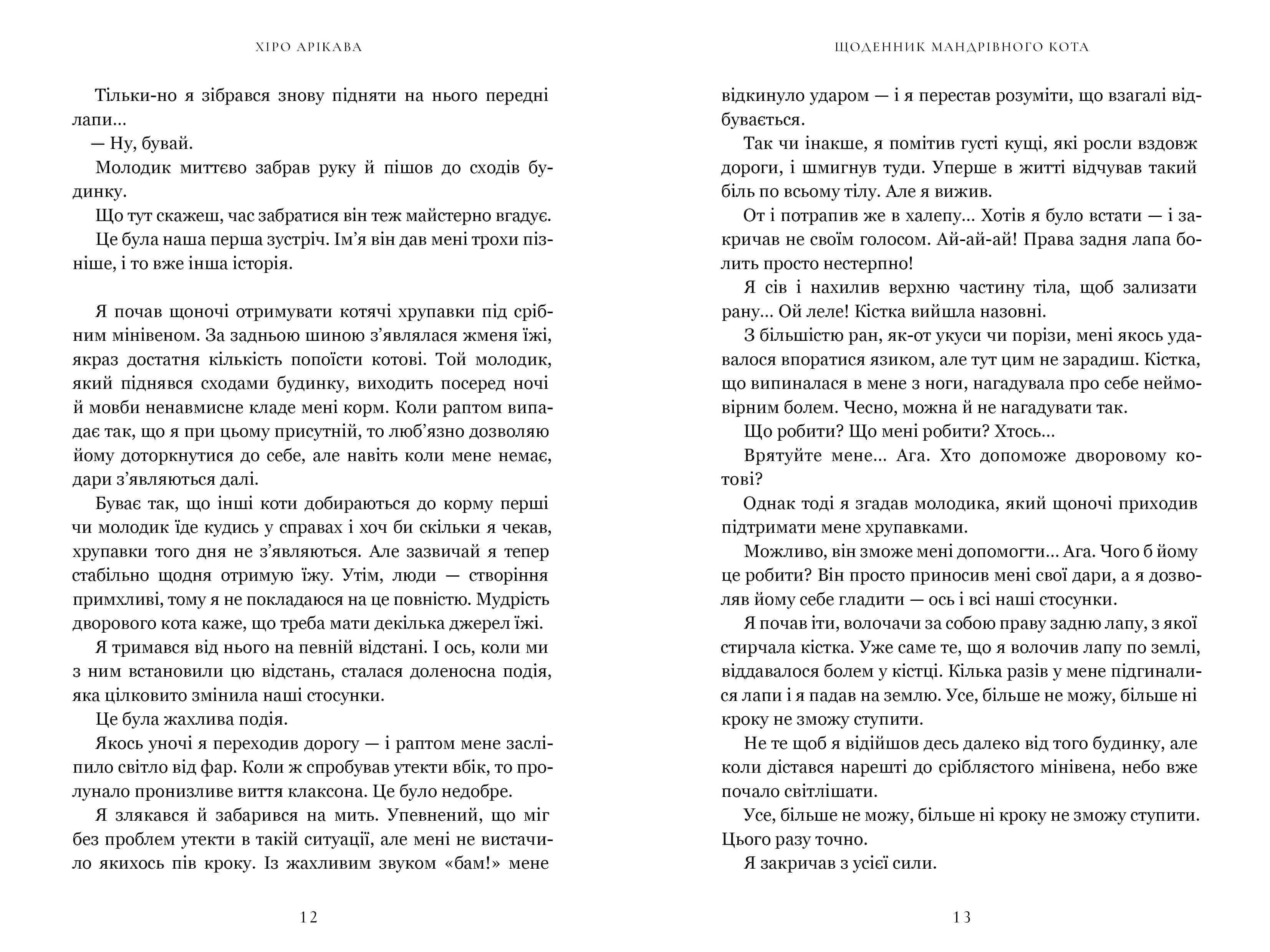 Щоденник мандрівного кота, фото - 3