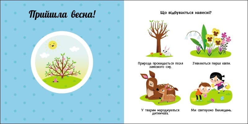 Пори року. Навчальне колесо, фото - 3