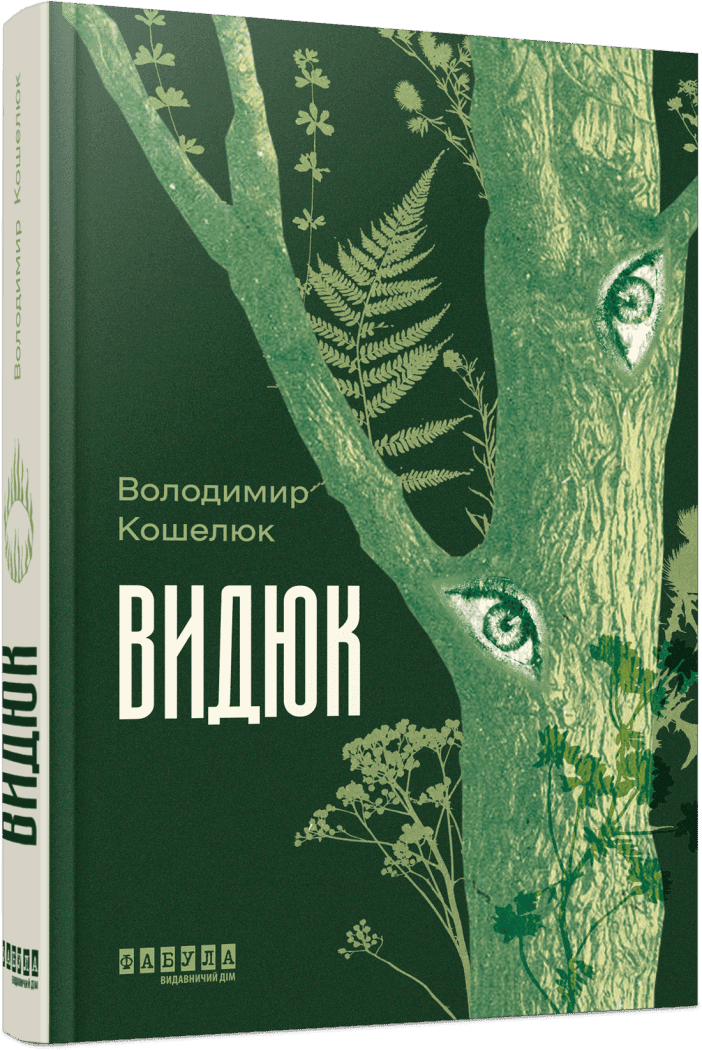 Видюк, фото - 1