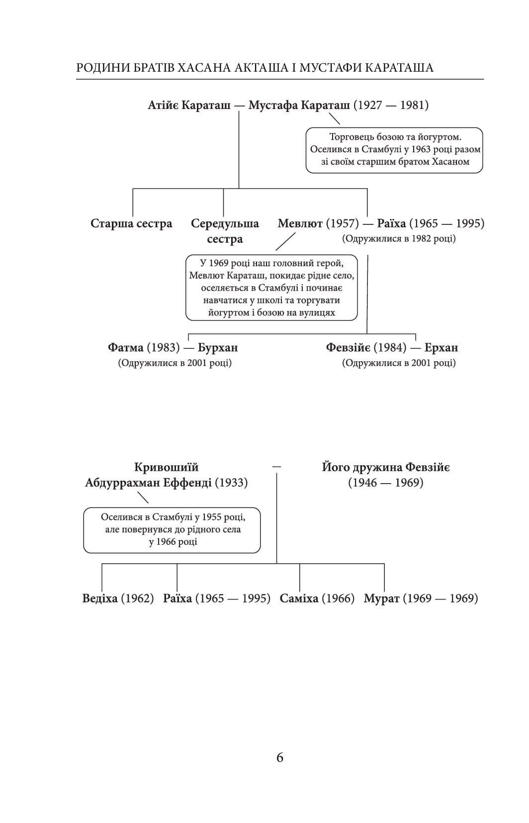 Химерність моїх думок з пошкодженням, фото - 2
