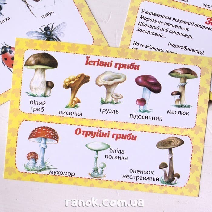 Набір карток.Оcінні спостереження, фото - 3