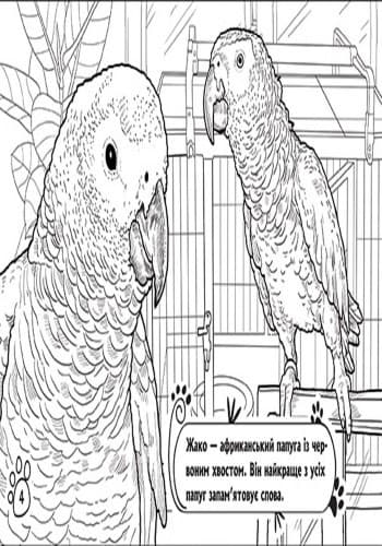 В оселі, фото - 2