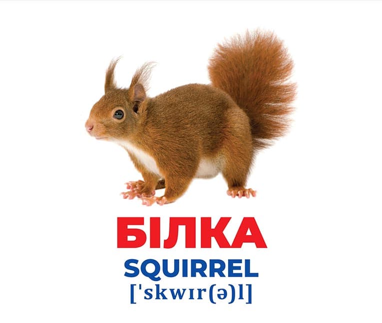 Геній з пелюшок.Тварини України, фото - 2