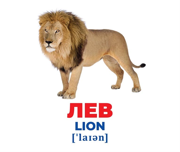 Геній з пелюшок.Тварини різних широт, фото - 2