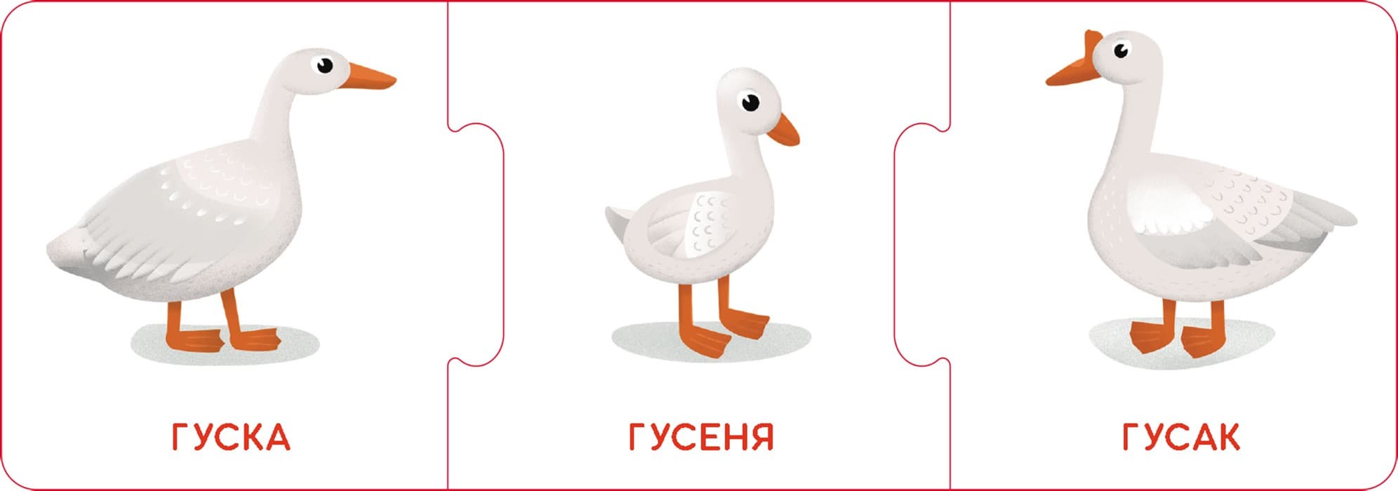 Логічні ланцюжки. Малюки тварини та їхні родини, фото - 2