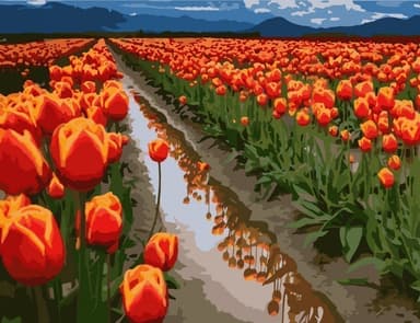 Набір для розпису &amp;quot;Поля в Голландії&amp;quot; 40*50 см