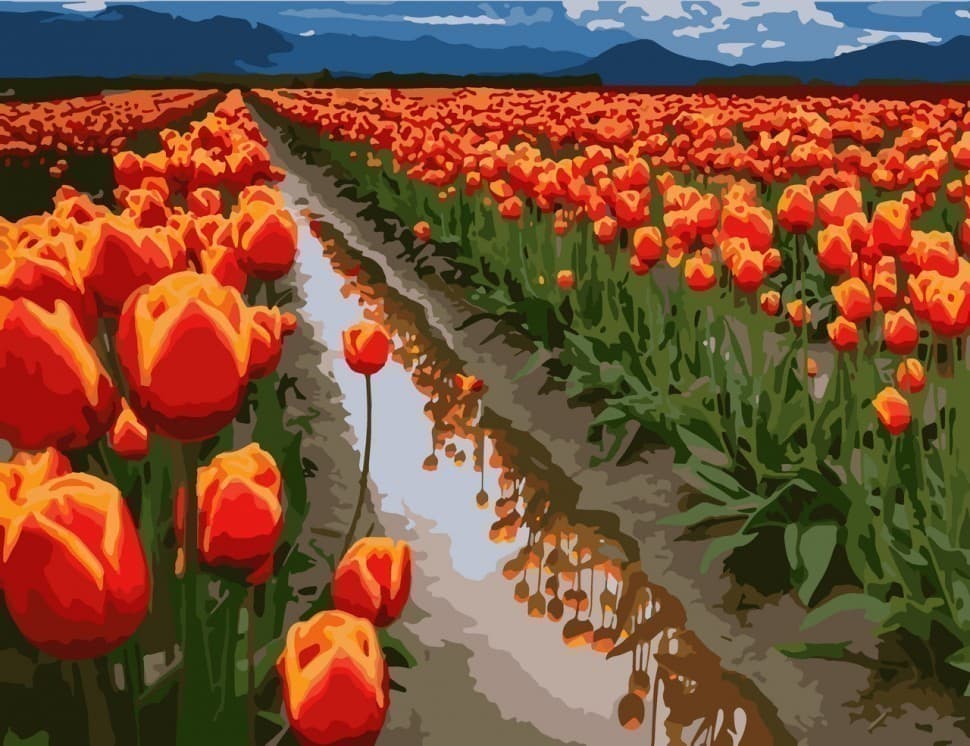 Набір для розпису &amp;quot;Поля в Голландії&amp;quot; 40*50 см, фото - 1