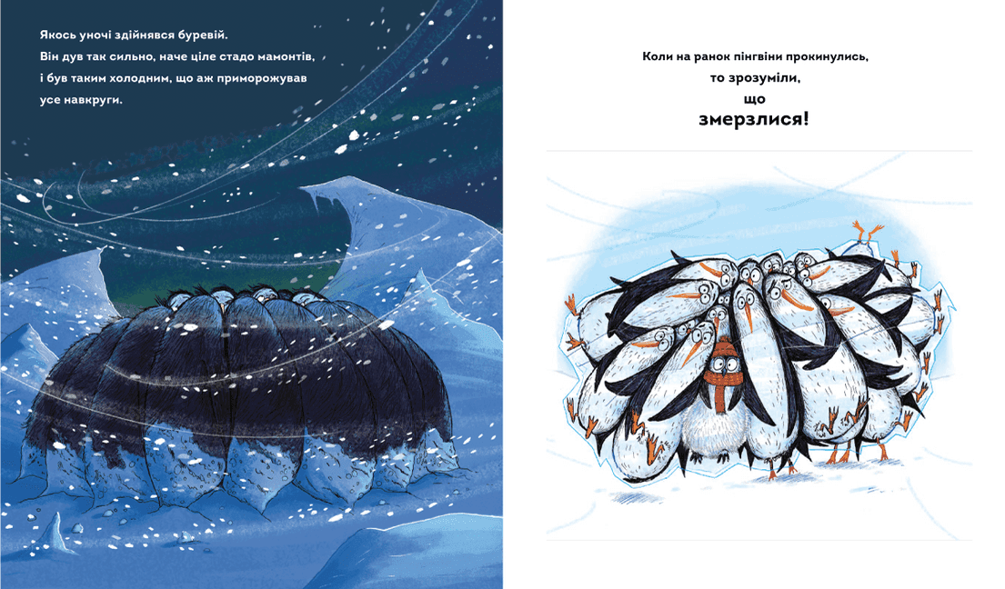 Пінгвінокупка, фото - 2